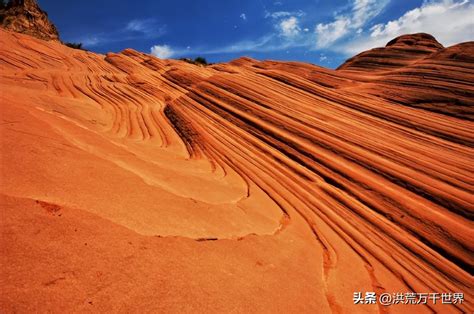 土是什么颜色